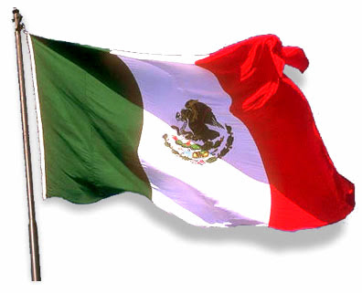 Paulina Rubio posó semidesnuda cubierta en la bandera de México y podría ser