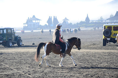 lautan pasir bromo