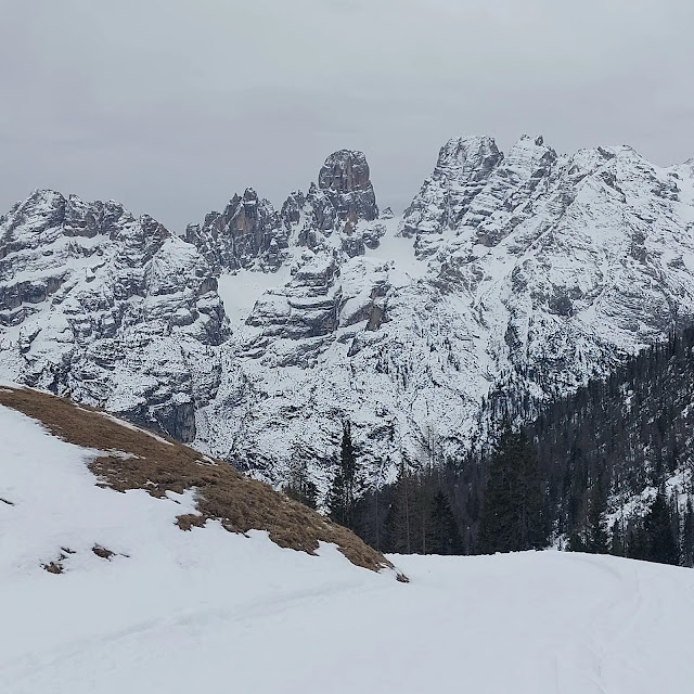 monte specie inverno