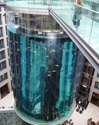25 Inspirasi Desain Akuarium Ikan Hias Air Tawar