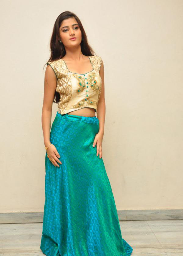 Akshitha in Skirt and Embroidery Crop Top