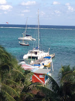 dive sail snorkel fish ocean paradise eco ecological