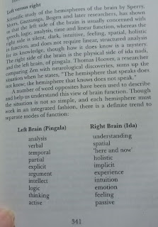 how masculine & feminine reflects in brain sides