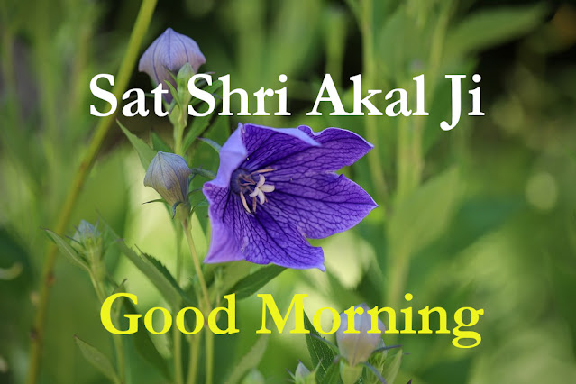 Sat Shri Akal Ji Good Morning