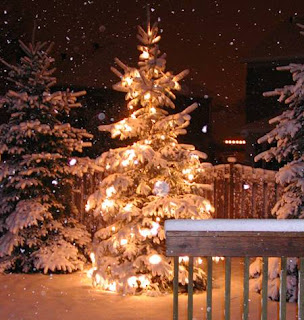 Beautiful and elegant  Christmas Tree