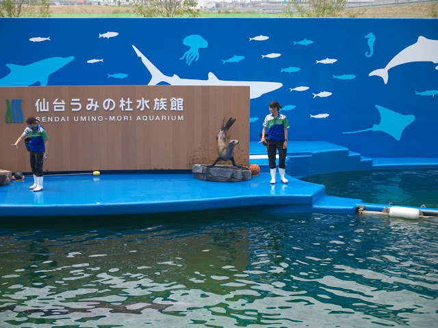 仙台うみの杜水族館 アシカショー