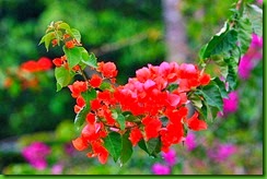 clip_image028