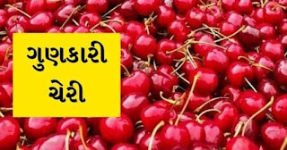 Health Benefits of Cherry in Gujarati