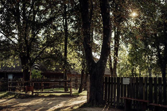 sesja ślubna w skansenie Lublin, sesja rodzinna, fotografia ślubna Lublin