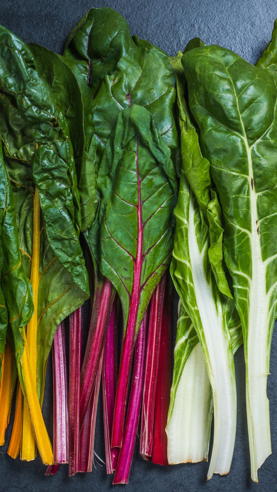 Explore the vibrant world of fall gardening with the perfect leafy green companion - Chard! 🌿 This video unveils the secrets to cultivating this delicious, nutritious, and easy-to-grow vegetable that will elevate your autumn garden experience.