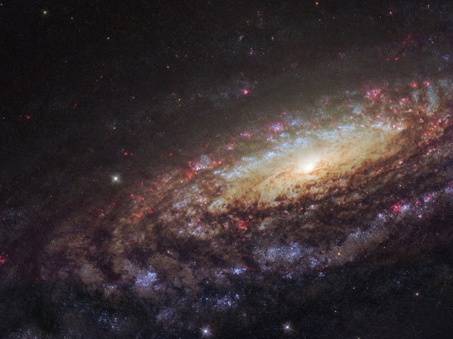 Spiral Galaxy NGC 7331