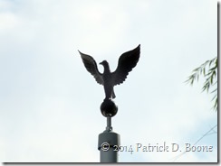 Flagpole Eagle