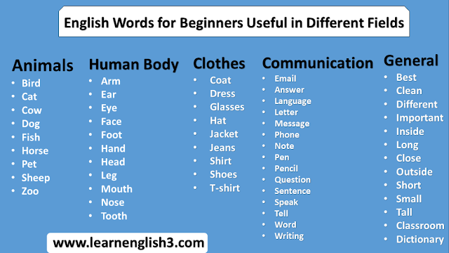 English Words for Beginners Useful in Different Fields