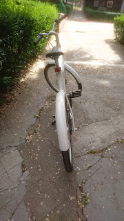 Biomega OKO bicicleta electrica cuadro de carbono