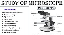parts and functions of a microscope,microscope parts and functions,microscope,microscope parts and function,parts and function of microscope,parts of microscope and functions,parts of light microscope and their function,compound microscope,microscope parts,parts of microscope,types of microscope,light microscope parts and function,parts and function of the microscope,parts and functions of microscope,parts and function of light microscope