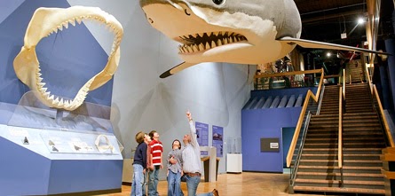  Kids In Museum