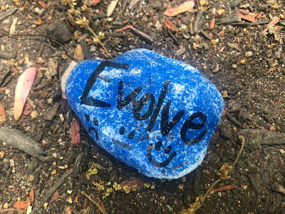 Rock with painted message: "Evolve"