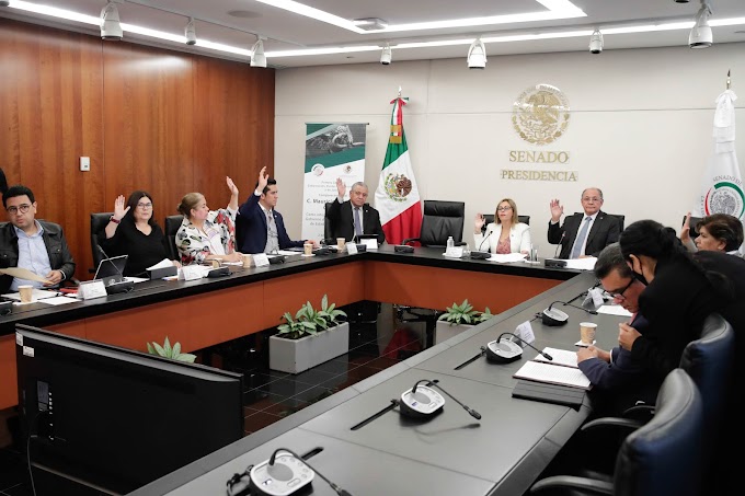  Avala Primera Comisión dictamen para ratificar a Mauricio Márquez Corona como miembro de la Junta de Gobierno del INEGI.