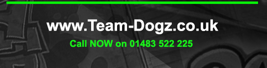 www.team-dogz.co.uk