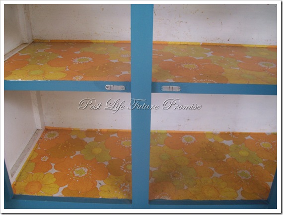 Kitchen Hutch 008