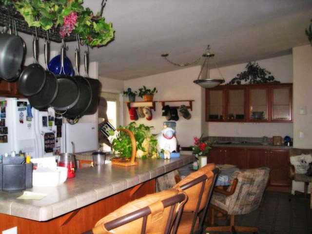 Kitchen with Pot Plants