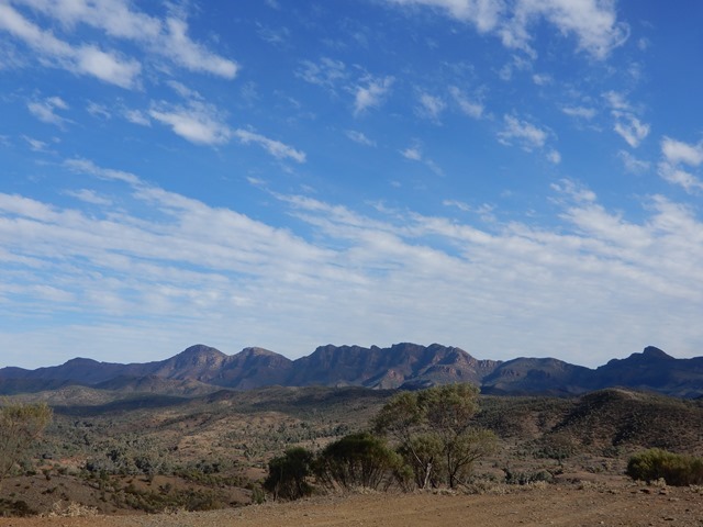 DSCN5623