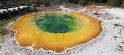 Yellowstone, Upper Geyser Basin, Zona del Old Faithfull, Morning Glory Pool.