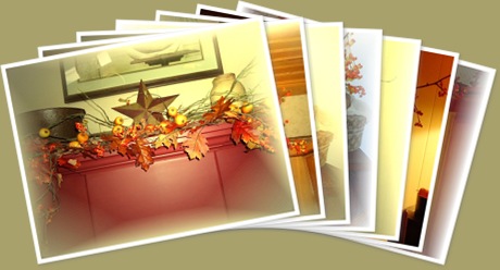 View Fall 4