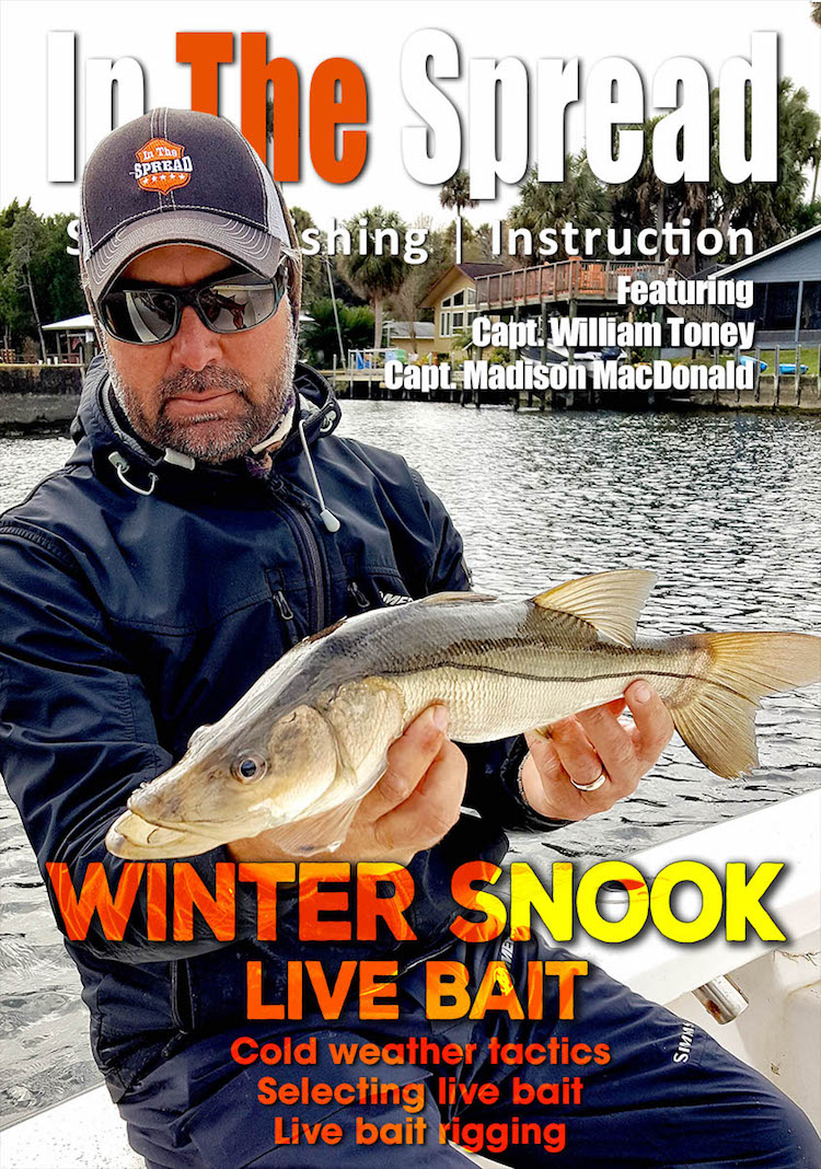 Full Throttle Media: Winter Snook Fishing , Live Bait or Lures