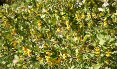 P1260633