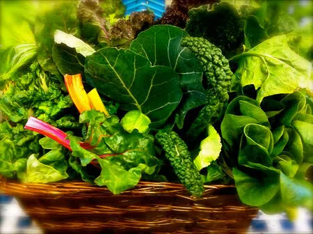 10 Plant Foods That Naturally Cleanse Your Liver