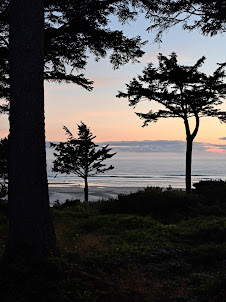 photograph at sunset, overlooking Agate Beach State Park; trunk of tree in foreground, two trees with low branches trimmed off appear to dance to the ocean's waves