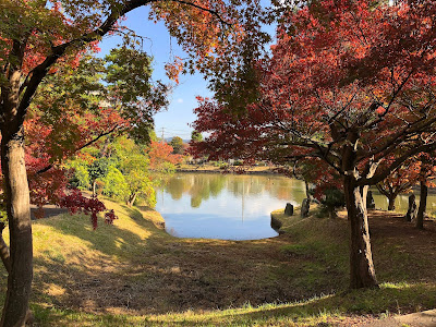 【枚方市】 以楽公園 秋の限定開放・美しい紅葉の日本庭園