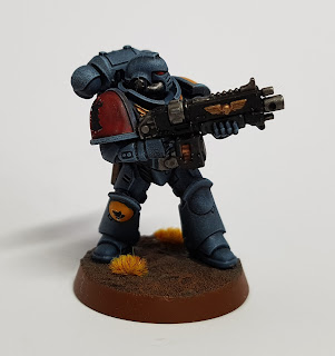 Space Wolves Primaris Intercessor