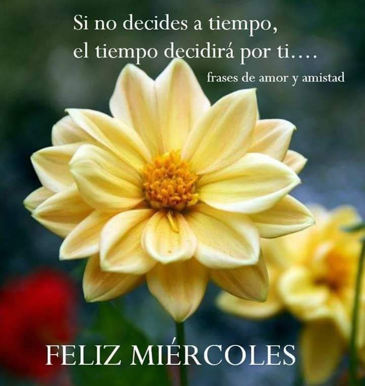 Juana Macedo Frases Reflexiones Y Algo Mas Buenos Dias Queridos Amigos