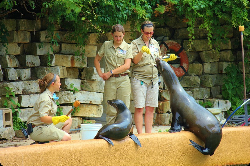 Zoo4 419