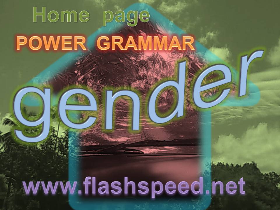 A1_Noun_property_#3_GENDER