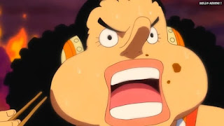 ワンピースアニメ パンクハザード編 579話 ウソップ | ONE PIECE Episode 579