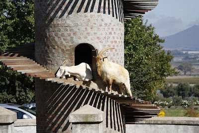 The Goat Tower Seen On www.coolpicturegallery.us