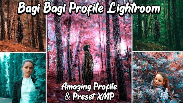 Preset XMP Bundle Free Download