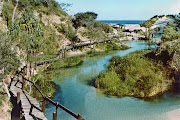 Fraser Island is the main place on the planet where tall rain forests are . (fraser island landscape)