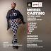 The official Press Release for the NSFDW2016 Model Casting
