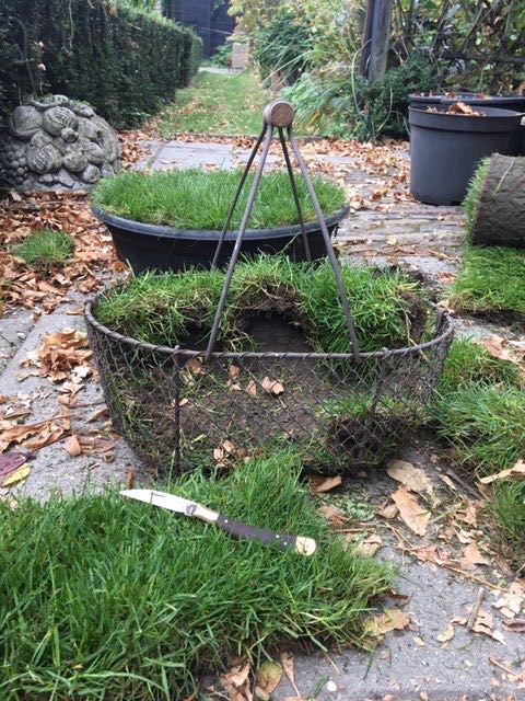 basket with Lawn turf