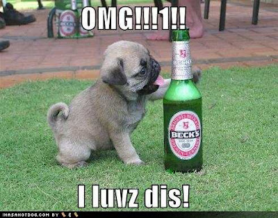 funny pics of pugs. Here is this week#39;s Pug Friday