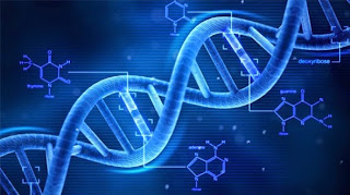 vivix atasi masalah kerosakan DNA