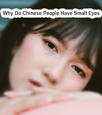 Why Do Chinese People Have Small Eyes
