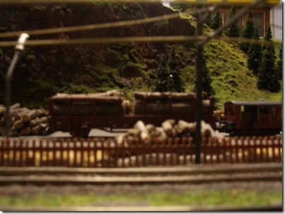 IMGP3883