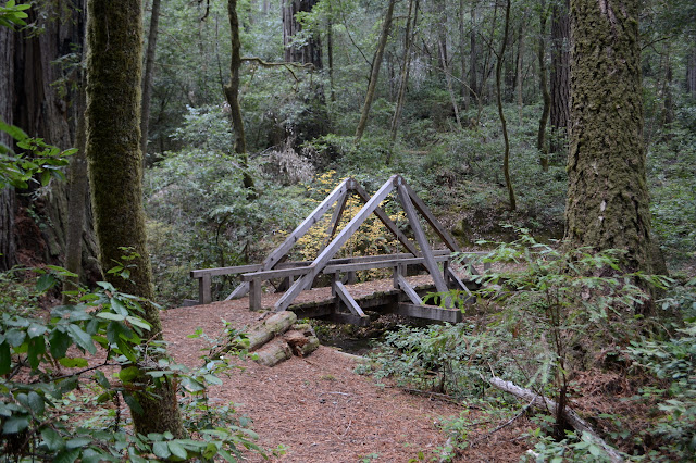 A frame bridge