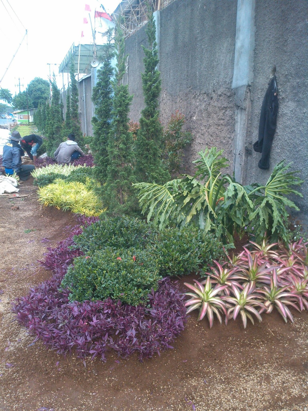 Jasa Tukang Taman Bandung Toko Bunga Kurnia Florist