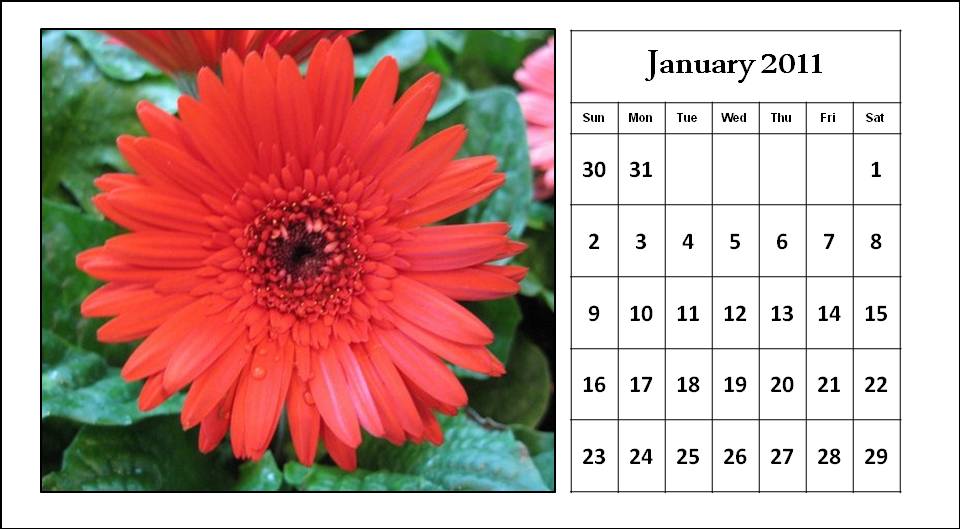 Flowers January 2011 Calendar Template